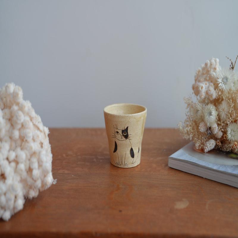 Shoko Hirano Cat Cup SR02 #11