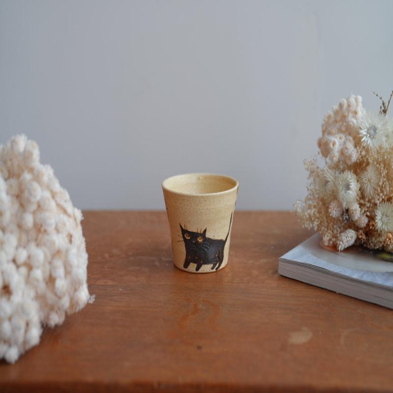 Shoko Hirano Cat Cup SR02 #2