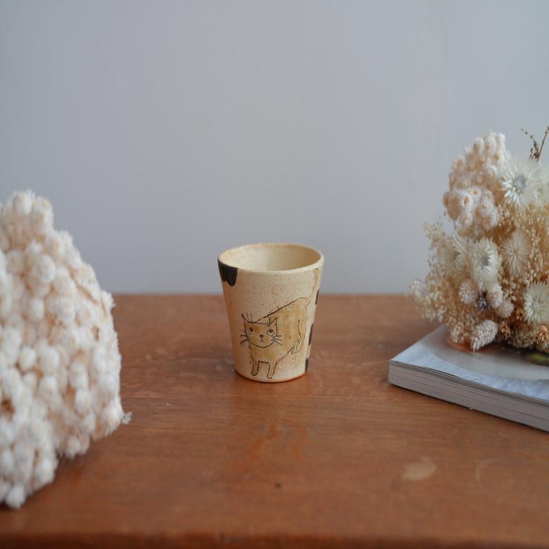 Shoko Hirano Cat Cup SR02 #6