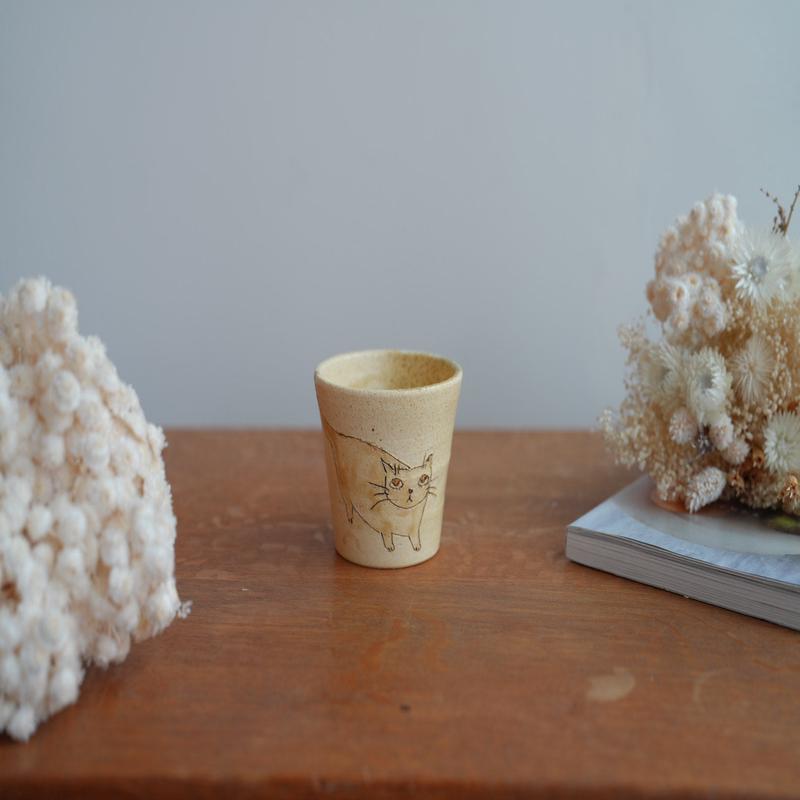 Shoko Hirano Cat Cup SR02 #7