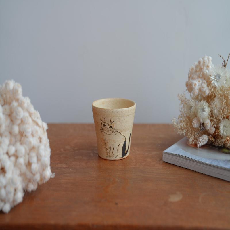 Shoko Hirano Cat Cup SR02 #9