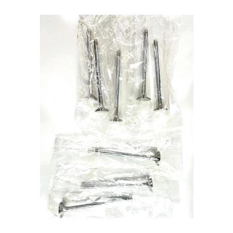 Valve Set Clio-Kango-Megan 1.5 Diesel-105317108 Compatible