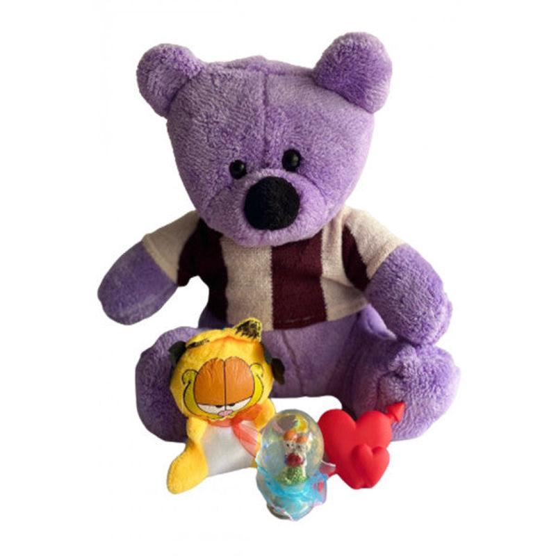 Valentine's Day, Birthday Gift - Plush Teddy Bear - With Lighted Snow Globe