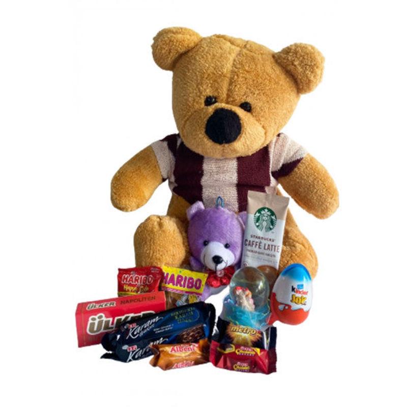 Valentine's Day Gift - Plush Teddy Bear - Lighted Snow Globe