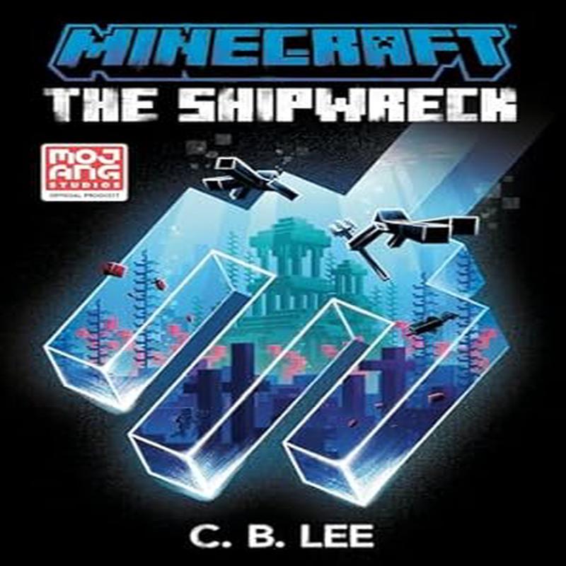 The Shipwreck (minecraft)