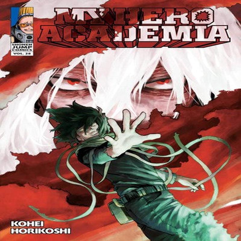 MY HERO ACADEMIA, VOL.28