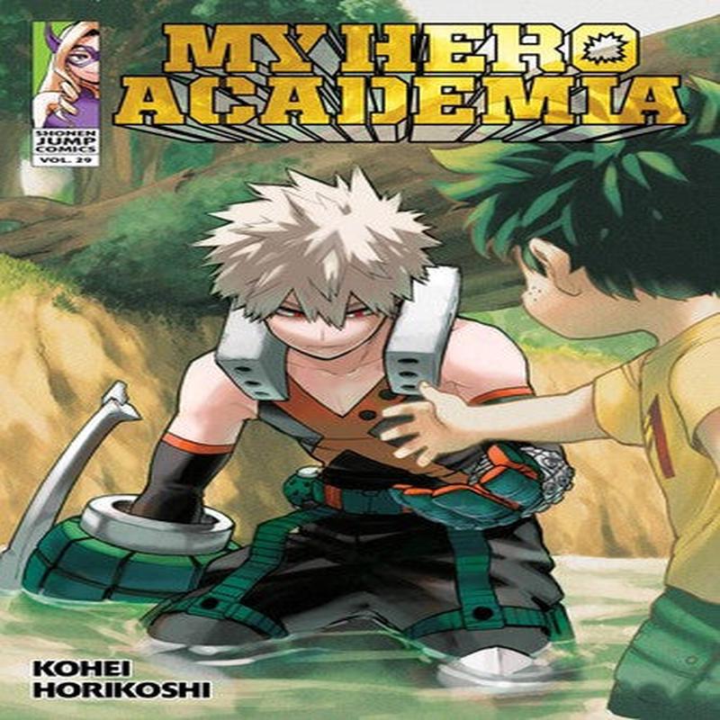 MY HERO ACADEMIA, VOL.29