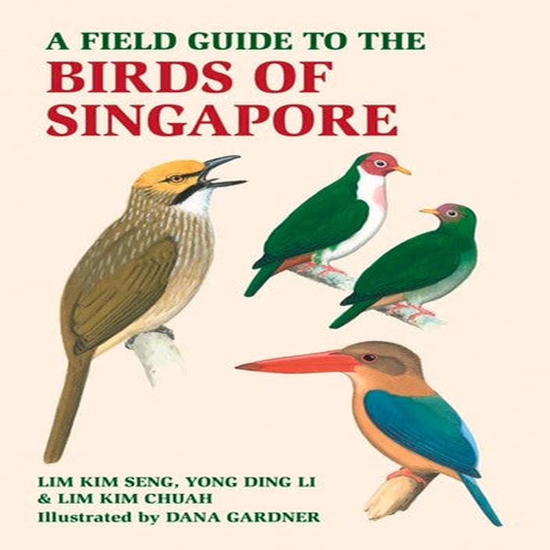 FG BIRDS OF SINGAPORE