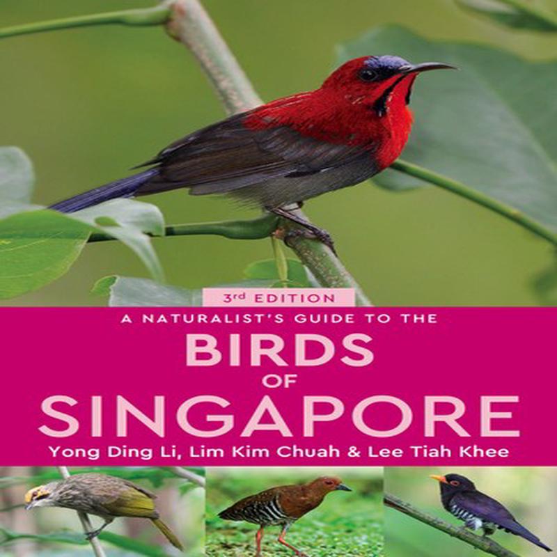 NG: BIRDS OF SINGAPORE 3E