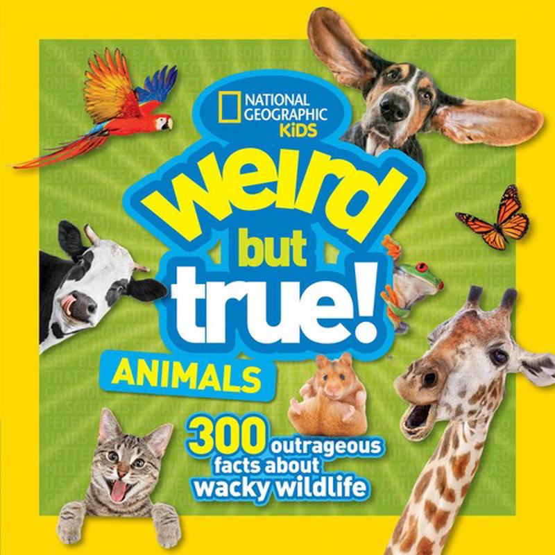 WEIRD BUT TRUE ANIMALS